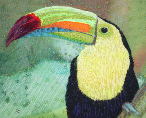 Keel-Billed Toucan by Christina Fairley Erickson